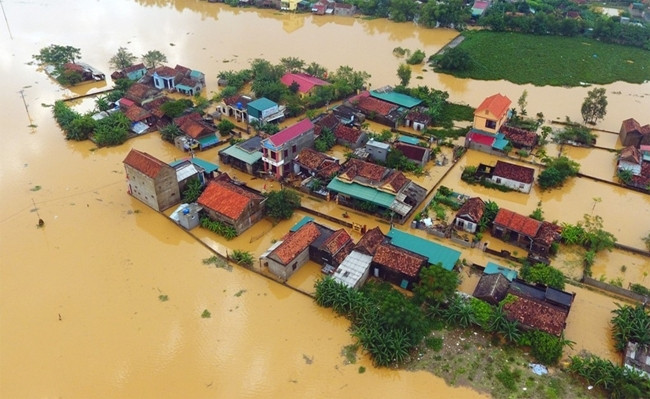 Le JPP soutient l’agriculture biologique et la prévention des catastrophes au Vietnam ảnh 1 Le JPP soutient l’agriculture biologique et la prévention des catastrophes au Vietnam ảnh 1