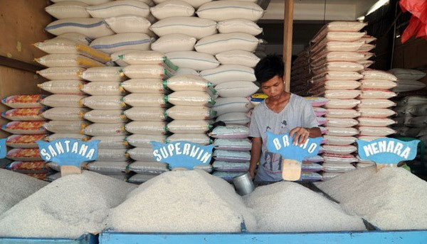 L'Indonésie exportera 100.000 tonnes de riz vers dix pays asiatiques et européens ảnh 1 L'Indonésie exportera 100.000 tonnes de riz vers dix pays asiatiques et européens ảnh 1