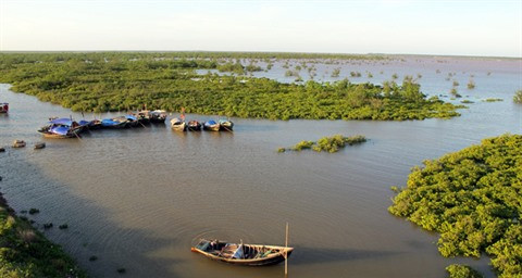 Découverte de la beauté sauvage de l’îlot de Côn Den ảnh 1 Découverte de la beauté sauvage de l’îlot de Côn Den ảnh 1