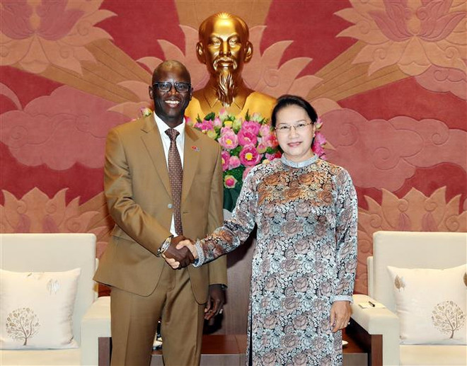 La présidente de l’AN reçoit le directeur national de la BM au Vietnam ảnh 1 La présidente de l’AN reçoit le directeur national de la BM au Vietnam ảnh 1