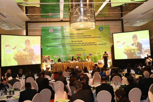 Réduction des risques de catastrophe dans le secteur agricole ảnh 1