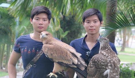 La fauconnerie fait des émules à Hô Chi Minh-Ville ảnh 2 La fauconnerie fait des émules à Hô Chi Minh-Ville ảnh 2