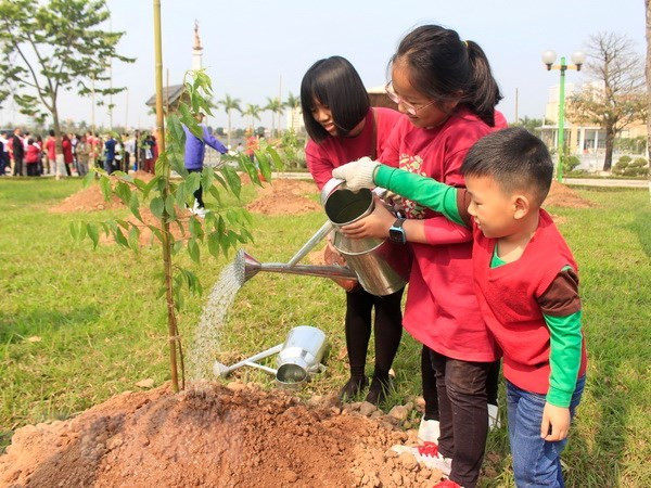 Plantation de 500 cerisiers japonais dans un parc de Hanoi ảnh 1