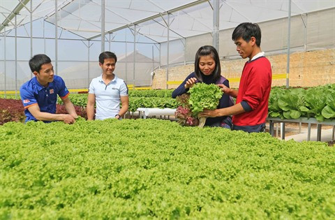 L’agriculture laboure le sillon des hautes technologies ảnh 1 L’agriculture laboure le sillon des hautes technologies ảnh 1
