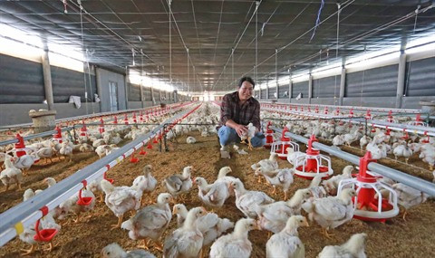 L’agriculture laboure le sillon des hautes technologies ảnh 2