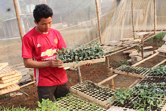 Quand un jeune Mông de Son La applique des technologies agricoles israéliennes ảnh 1