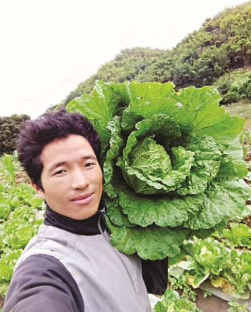 Quand un jeune Mông de Son La applique des technologies agricoles israéliennes ảnh 2