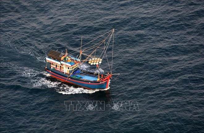 Kien Giang achève l’installation d'équipements de surveillance des navires par satellite ảnh 1 Kien Giang achève l’installation d'équipements de surveillance des navires par satellite ảnh 1