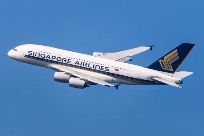 Singapore Airlines reprendra des vols vers Da Nang en mars prochain ảnh 1
