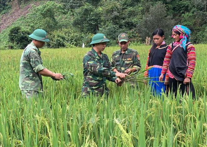 Le Vietnam s’efforce de réduire la pauvreté dans les zones montagneuses et reculées ảnh 2