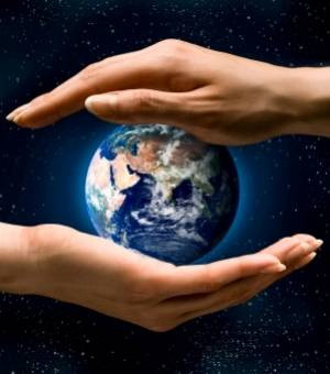 Biodiversité: le Vietnam appuie le Protocole de Nagoya ảnh 1 Biodiversité: le Vietnam appuie le Protocole de Nagoya ảnh 1