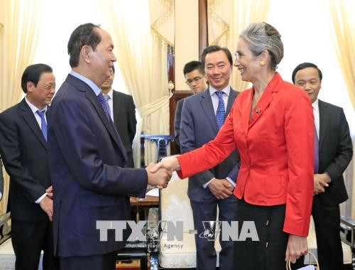 Le président Tran Dai Quang reçoit l’ambassadrice néerlandaise ảnh 1 Le président Tran Dai Quang reçoit l’ambassadrice néerlandaise ảnh 1