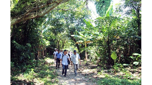 Quang Tri relance le tourisme maritime et insulaire ảnh 1 Quang Tri relance le tourisme maritime et insulaire ảnh 1