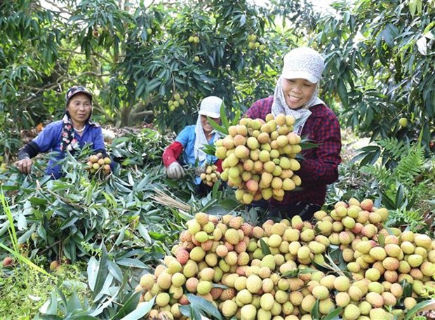 Le média allemand: le Vietnam optimiste sur ses perspectives économiques ảnh 1