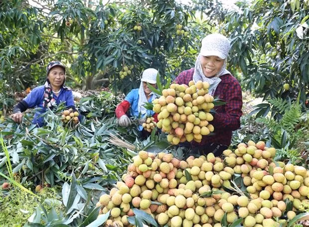 Le média allemand: le Vietnam optimiste sur ses perspectives économiques ảnh 1