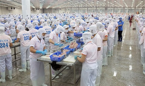 Réunir les efforts pour lutter contre la crise de l’emploi ảnh 1