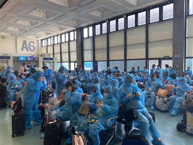 Plus de 340 Vietnamiens rapatriés de Taïwan (Chine) ảnh 1 Plus de 340 Vietnamiens rapatriés de Taïwan (Chine) ảnh 1