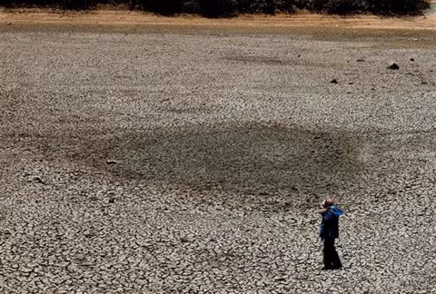 2020 : les catastrophes naturelles seront féroces et imprévisibles ảnh 1