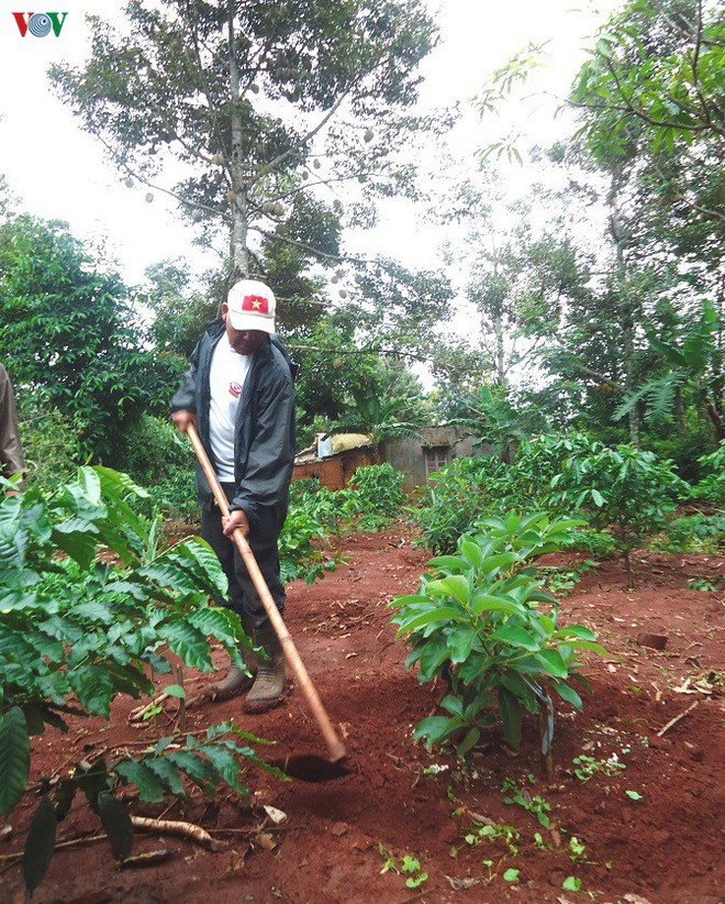 La polyculture, une réponse aux aléas du changement climatique ảnh 2 La polyculture, une réponse aux aléas du changement climatique ảnh 2