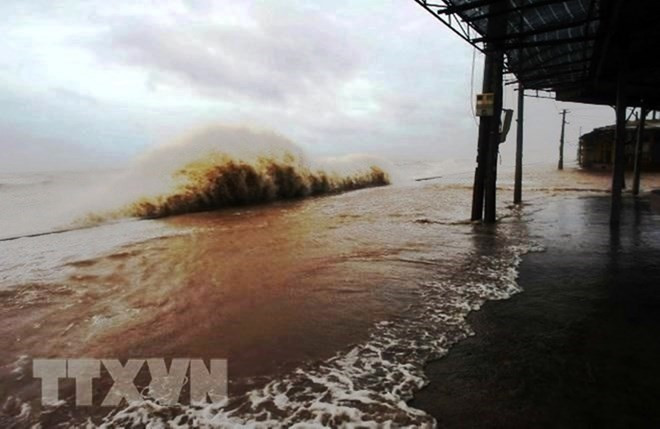 Le Comité des typhons contribue au développement durable ảnh 1 Le Comité des typhons contribue au développement durable ảnh 1