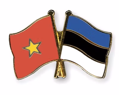 Consultation politique Vietnam-Estonie ảnh 1