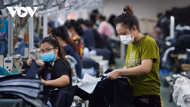 Les entreprises vietnamiennes se mettent au vert ảnh 1