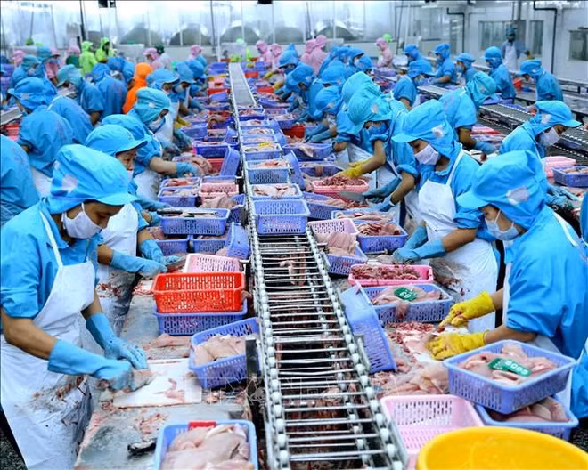 HSBC prévoit une croissance du PIB du Vietnam de 5,8% en 2023 ảnh 2 HSBC prévoit une croissance du PIB du Vietnam de 5,8% en 2023 ảnh 2