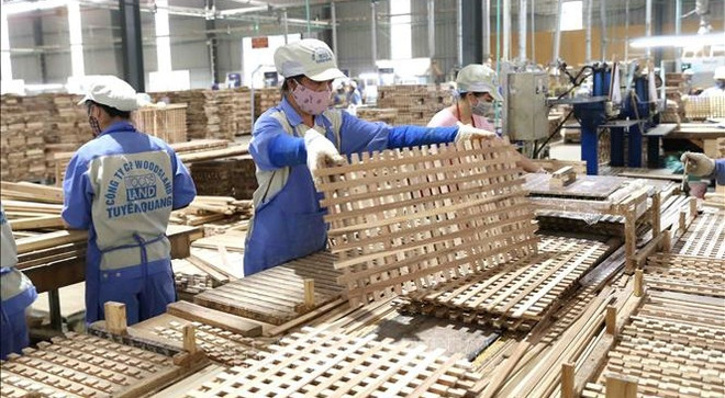 Exportations de produits agro-sylvicoles et aquatiques en hausse de 10,7% en neuf mois ảnh 1 Exportations de produits agro-sylvicoles et aquatiques en hausse de 10,7% en neuf mois ảnh 1