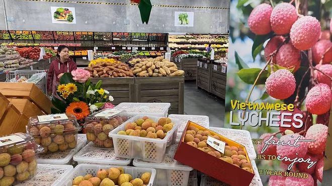 Les exportations vietnamiennes vers l’Australie en hausse ảnh 1 Les exportations vietnamiennes vers l’Australie en hausse ảnh 1