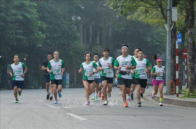 Près de 800 personnes participent au course « Race for Green Life » ảnh 1 Près de 800 personnes participent au course « Race for Green Life » ảnh 1