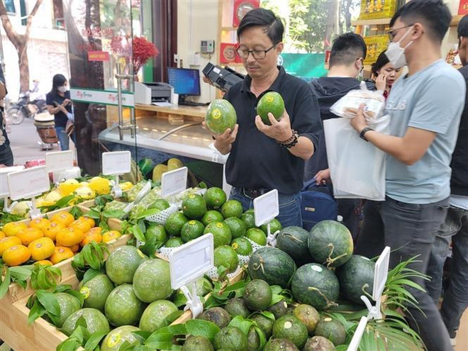 Hanoï ouvre trois nouveaux points de présentation et de vente des produits OCOP ảnh 2 Hanoï ouvre trois nouveaux points de présentation et de vente des produits OCOP ảnh 2