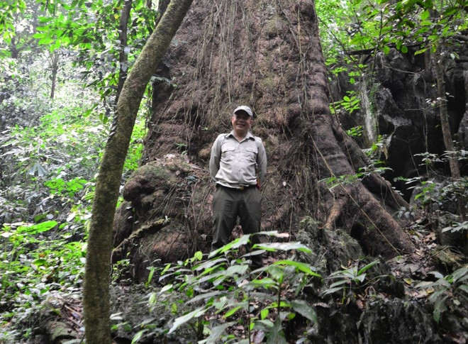 "Rentrer à la maison" - une visite sensibilise le public à la conservation de la nature ảnh 2 "Rentrer à la maison" - une visite sensibilise le public à la conservation de la nature ảnh 2