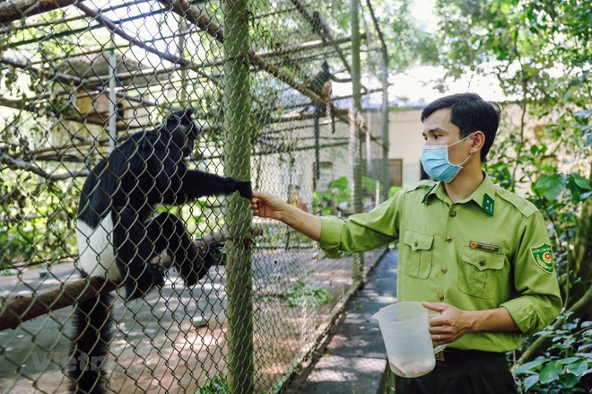 "Rentrer à la maison" - une visite sensibilise le public à la conservation de la nature ảnh 3 "Rentrer à la maison" - une visite sensibilise le public à la conservation de la nature ảnh 3