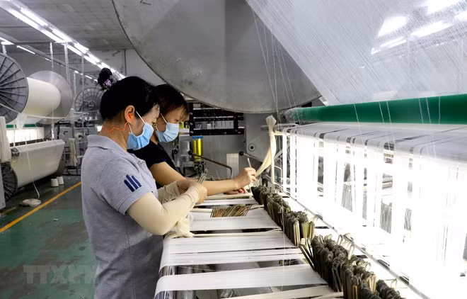 Nike continue d'étendre sa production à Binh Duong ảnh 2