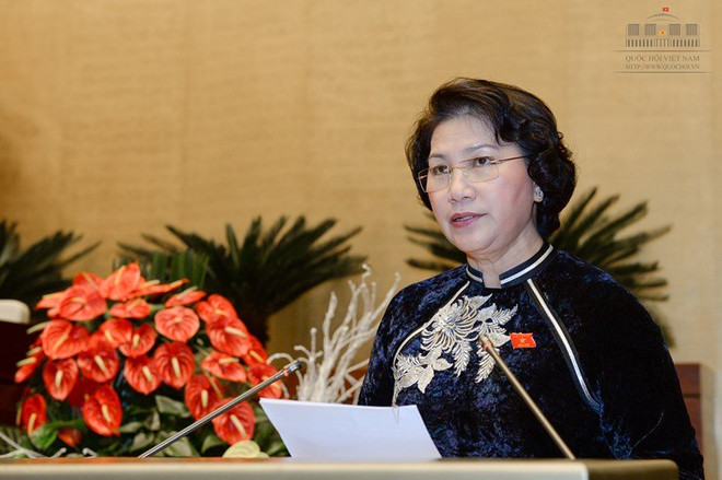 L'Assemblée nationale de la 13e législature a accompli ses missions ảnh 1