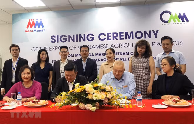 Promotion des exportations de produits agricoles vietnamiens vers Singapour ảnh 1