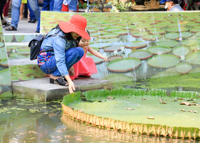 La pagode abritant une sorte de lotus géant dans le delta du Mékong ảnh 3