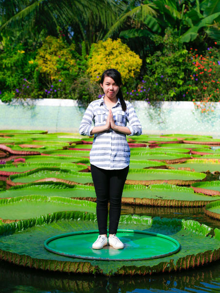 La pagode abritant une sorte de lotus géant dans le delta du Mékong ảnh 4 La pagode abritant une sorte de lotus géant dans le delta du Mékong ảnh 4