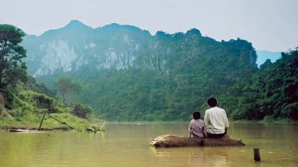 2017 : une année pleine pour le cinéma vietnamien ảnh 2 2017 : une année pleine pour le cinéma vietnamien ảnh 2