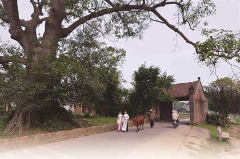 La porte du village, un symbole de la culture vietnamienne ảnh 2 La porte du village, un symbole de la culture vietnamienne ảnh 2