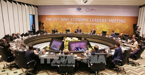 APEC 2017: rehausser la position du Vietnam sur la scène internationale ảnh 1