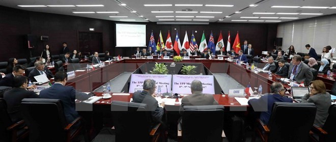APEC 2017: la Chine affirme que l'accord TPP n'aura pas d'impact sur RCEP ảnh 1