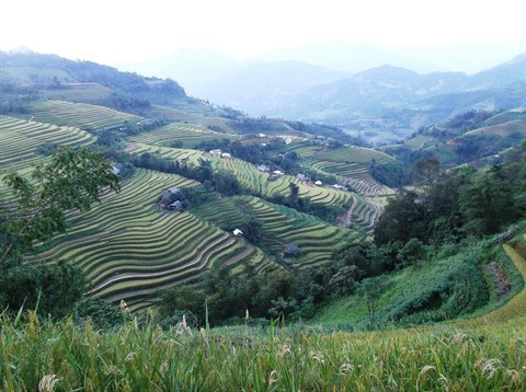 Dans le Nord, le tourisme durable prend de l’altitude à Hoàng Su Phi ảnh 1 Dans le Nord, le tourisme durable prend de l’altitude à Hoàng Su Phi ảnh 1