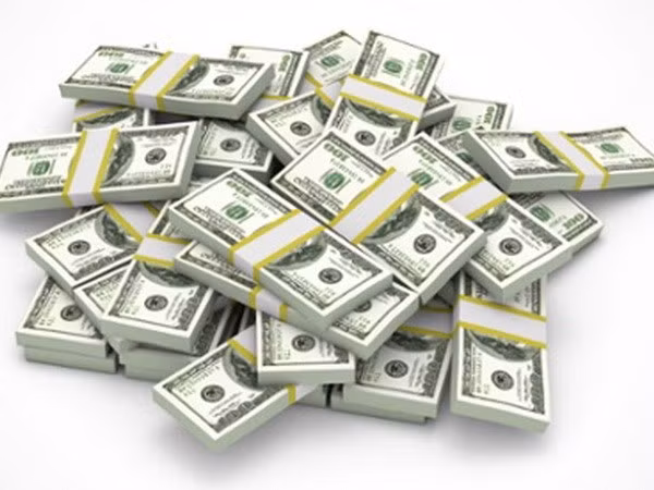 Hô Chi Minh-Ville : 5,2 milliards de dollars des devises transférées en 2017 ảnh 1