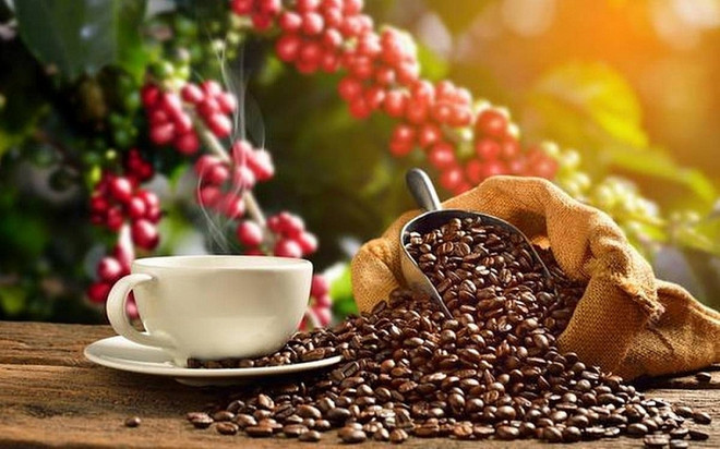 Nécessité d’améliorer la qualité du café pour accroître les exportations vers l'UE ảnh 1 Nécessité d’améliorer la qualité du café pour accroître les exportations vers l'UE ảnh 1