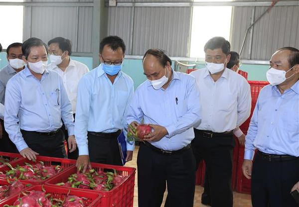 Président : Mobiliser la force de l’économie collective de Tien Giang ảnh 2 Président : Mobiliser la force de l’économie collective de Tien Giang ảnh 2