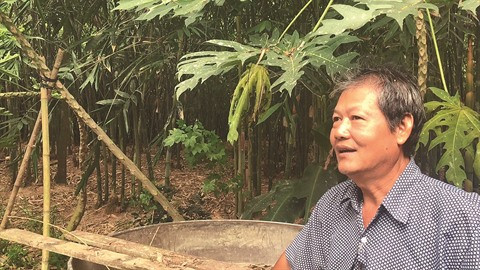 Un protecteur d’aigrettes à Ðông Tháp ảnh 1