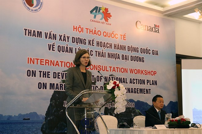 Consultation pour élaborer un plan d’action sur la gestion des déchets plastiques en mer ảnh 1 Consultation pour élaborer un plan d’action sur la gestion des déchets plastiques en mer ảnh 1