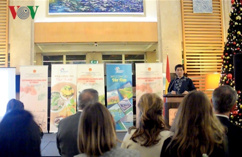 Journées de la culture vietnamienne en Turquie ảnh 1 Journées de la culture vietnamienne en Turquie ảnh 1