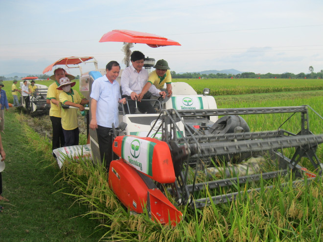 Nouvelle ruralité : développement rapide des infrastructures ảnh 1 Nouvelle ruralité : développement rapide des infrastructures ảnh 1